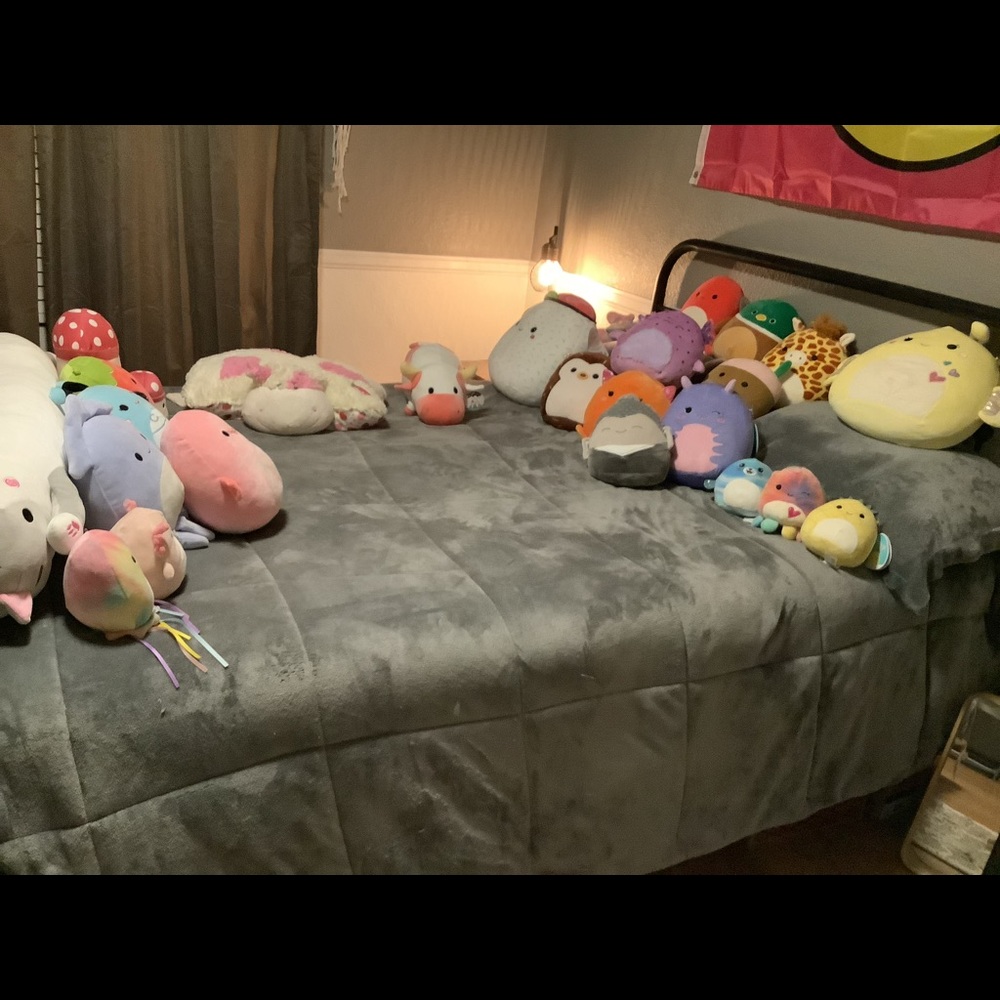 Squishmallow mystery box